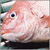 (株)やまと「鮮魚シリーズ」